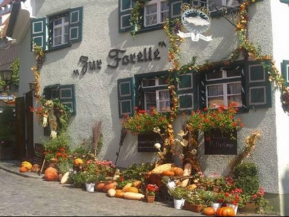 照片: Zur Forelle